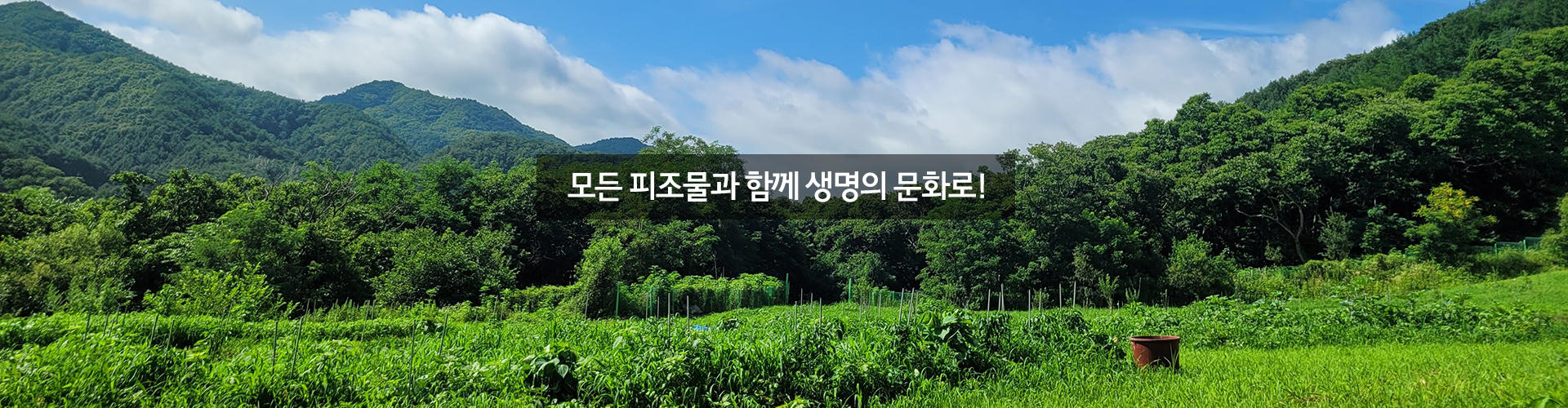 메인